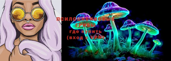 марки lsd Абаза