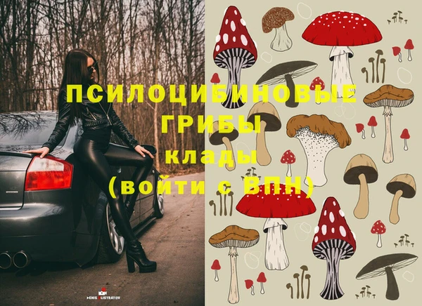 мяу мяу мука Абинск