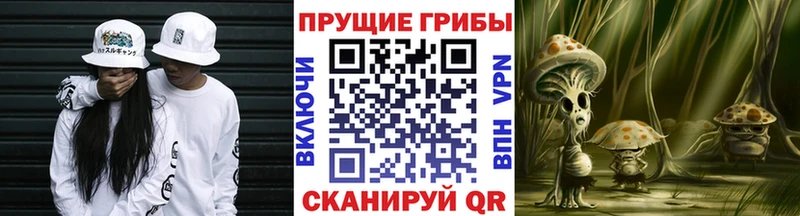 Псилоцибиновые грибы MAGIC MUSHROOMS  ОМГ ОМГ как войти  Ивангород  дарнет шоп 