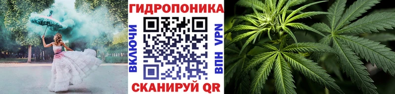 Конопля семена Ивангород